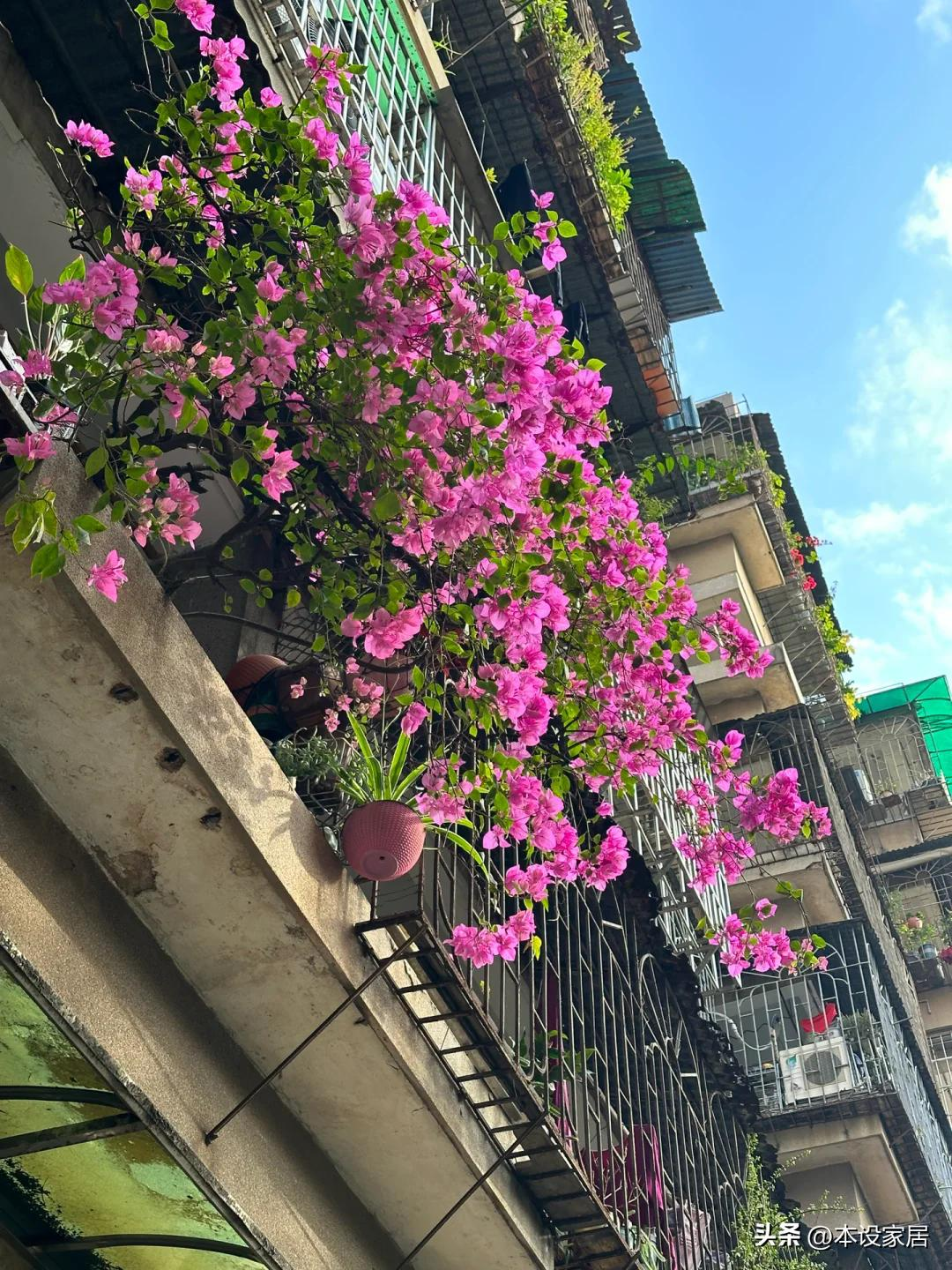 Cô gái 25 tuổi biến phòng trọ 20m² cũ kỹ thành tổ ấm khiến dân mạng sửng sốt: “Đúng là người yêu đời thì ở đâu cũng hạnh phúc!”- Ảnh 11.