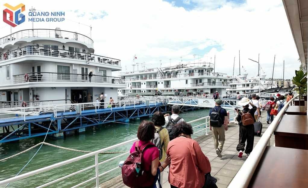 Quảng Ninh: Một ngành kinh tế đang bùng nổ, Trung Quốc là thị trường cực quan trọng, tăng trưởng 3 chữ số- Ảnh 1. Quảng Ninh: Một ngành kinh tế đang bùng nổ, Trung Quốc là thị trường cực quan trọng, tăng trưởng 3 chữ số- Ảnh 1.