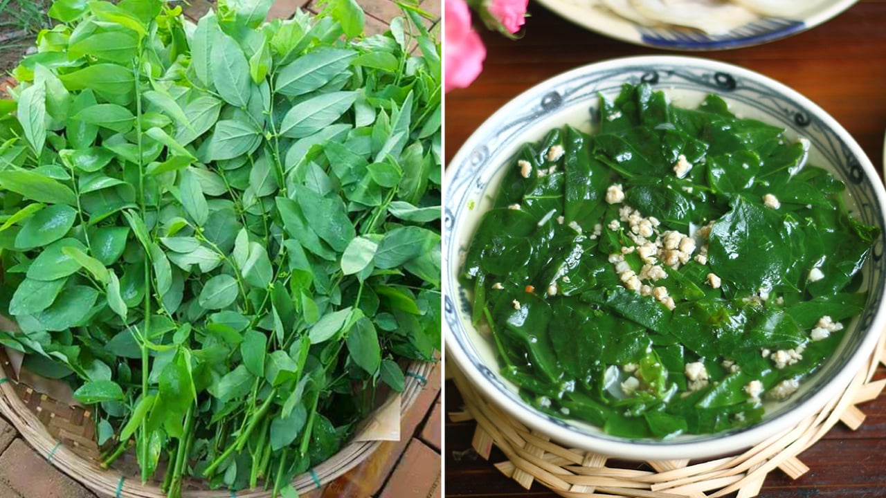 Tưởng thịt bò là “vua” sắt, hóa ra vẫn thua loại rau người Việt trồng đầy góc vườn: Hạ huyết áp, giải độc- Ảnh 1. Tưởng thịt bò là “vua” sắt, hóa ra vẫn thua loại rau người Việt trồng đầy góc vườn: Hạ huyết áp, giải độc- Ảnh 1.