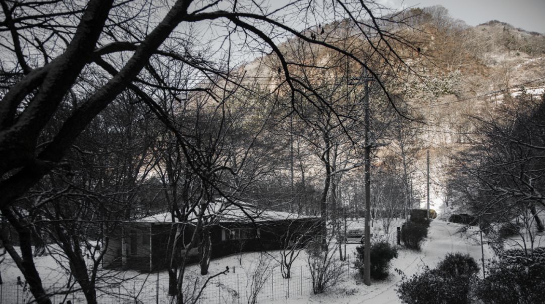 Nữ nghệ sĩ 65 tuổi bỏ phố vào rừng xây biệt thự, dựng Nữ nghệ sĩ 65 tuổi bỏ phố vào rừng xây biệt thự, dựng