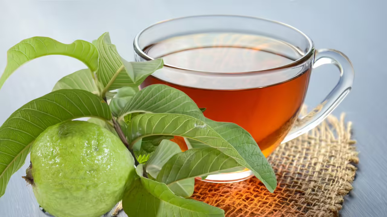 Loại lá dân dã là "khắc tinh" của tiểu đường và mỡ máu cao: Rất sẵn ở Việt Nam nhưng còn bị bỏ phí- Ảnh 4. Loại lá dân dã là "khắc tinh" của tiểu đường và mỡ máu cao: Rất sẵn ở Việt Nam nhưng còn bị bỏ phí- Ảnh 4.
