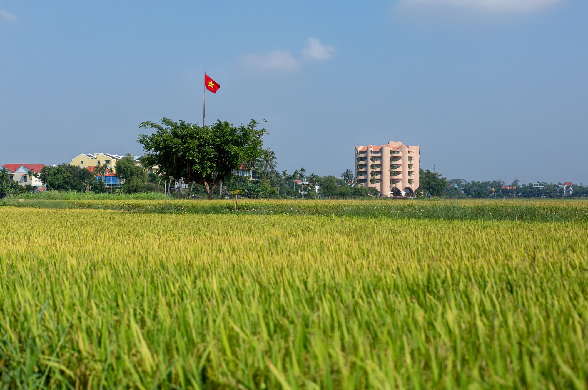 Theo chân Tóc Tiên về Hội An: Ở chỗ này thơm mùi lúa, yên bình tới mức chỉ muốn ở mãi không về- Ảnh 7. Theo chân Tóc Tiên về Hội An: Ở chỗ này thơm mùi lúa, yên bình tới mức chỉ muốn ở mãi không về- Ảnh 7.