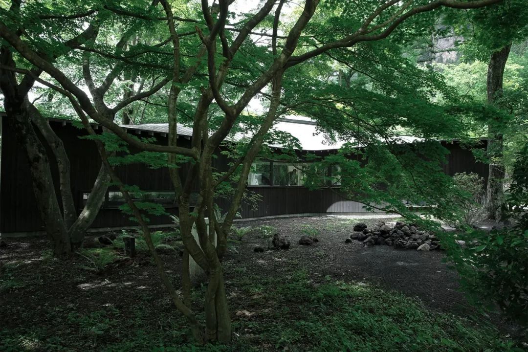 Nữ nghệ sĩ 65 tuổi bỏ phố vào rừng xây biệt thự, dựng Nữ nghệ sĩ 65 tuổi bỏ phố vào rừng xây biệt thự, dựng