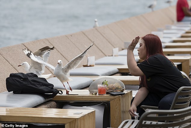 Khách Tây làm 1 việc "khó hiểu" trên đường phố Úc: Nguyên nhân đến từ thứ không ai ngờ tới- Ảnh 9. Khách Tây làm 1 việc "khó hiểu" trên đường phố Úc: Nguyên nhân đến từ thứ không ai ngờ tới- Ảnh 9.