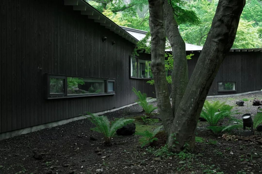 Nữ nghệ sĩ 65 tuổi bỏ phố vào rừng xây biệt thự, dựng Nữ nghệ sĩ 65 tuổi bỏ phố vào rừng xây biệt thự, dựng