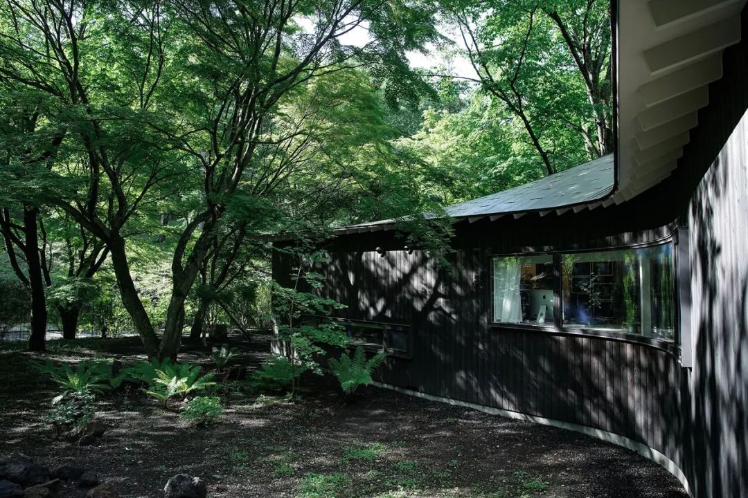 Nữ nghệ sĩ 65 tuổi bỏ phố vào rừng xây biệt thự, dựng Nữ nghệ sĩ 65 tuổi bỏ phố vào rừng xây biệt thự, dựng