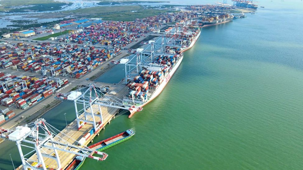 Viconship lãi 456 tỷ đồng sau 9 tháng đầu năm, tăng gần 50% so với cùng kỳ- Ảnh 3. Viconship lãi 456 tỷ đồng sau 9 tháng đầu năm, tăng gần 50% so với cùng kỳ- Ảnh 3.