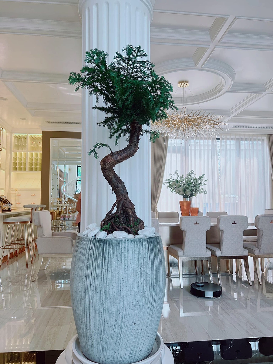 Bất động sản từ Nam chí Bắc, từ Việt Nam đến nước ngoài của Lệ Quyên- Ảnh 7. Bất động sản từ Nam chí Bắc, từ Việt Nam đến nước ngoài của Lệ Quyên- Ảnh 7.