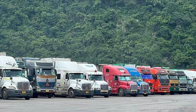 Hàng trăm container sầu riêng 'mắc kẹt' tại cửa khẩu Lạng Sơn- Ảnh 2. Hàng trăm container sầu riêng 'mắc kẹt' tại cửa khẩu Lạng Sơn- Ảnh 2.