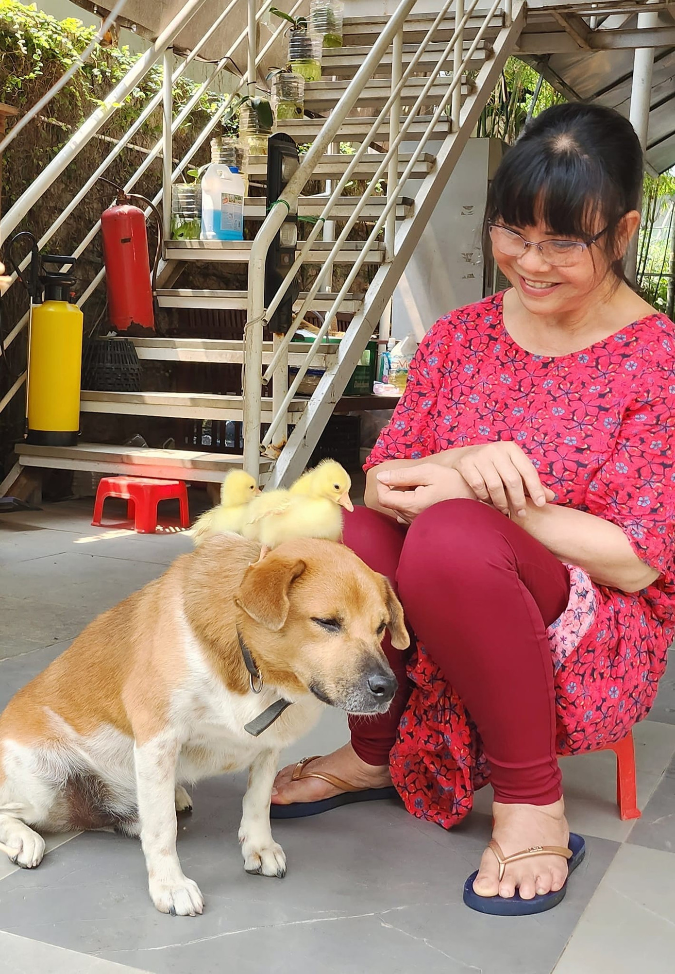 Cận cảnh ngôi nhà ca sĩ Ánh Tuyết ở Đà Nẵng ngập nặng- Ảnh 4. Cận cảnh ngôi nhà ca sĩ Ánh Tuyết ở Đà Nẵng ngập nặng- Ảnh 4.