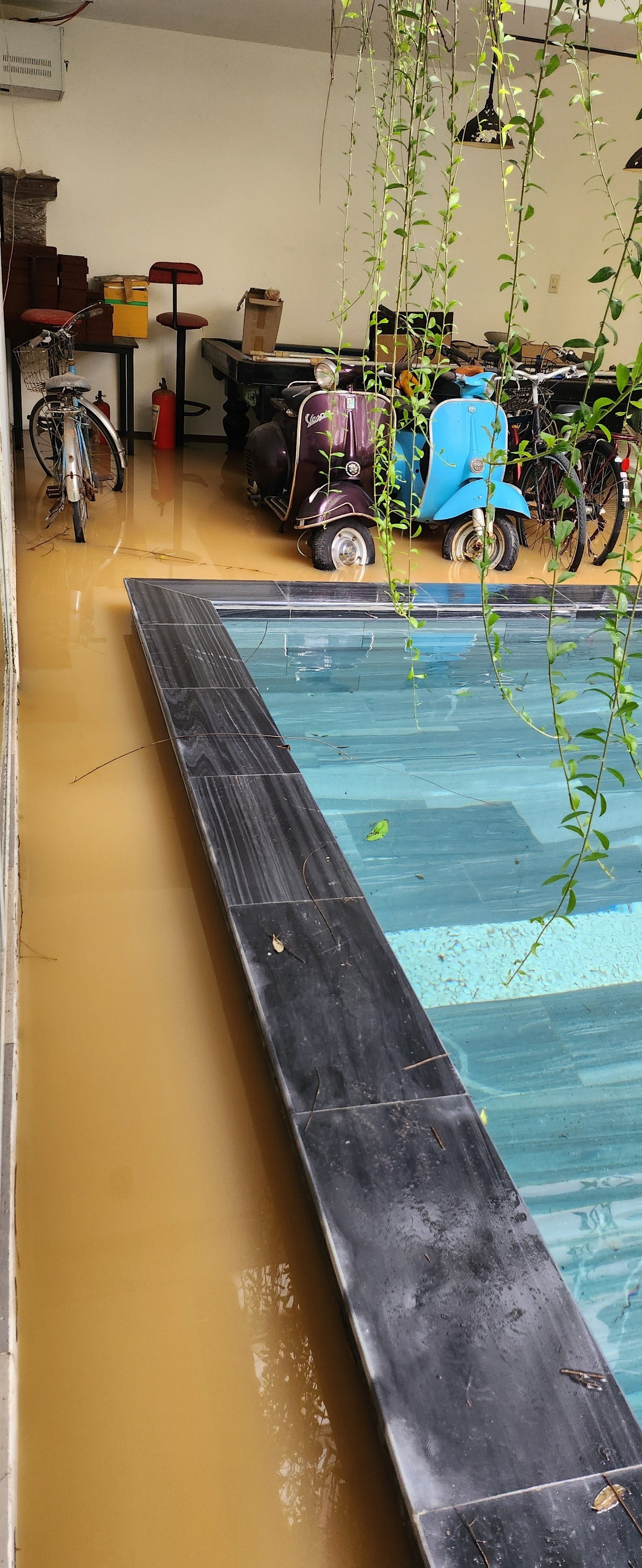 Cận cảnh ngôi nhà ca sĩ Ánh Tuyết ở Đà Nẵng ngập nặng- Ảnh 2. Cận cảnh ngôi nhà ca sĩ Ánh Tuyết ở Đà Nẵng ngập nặng- Ảnh 2.