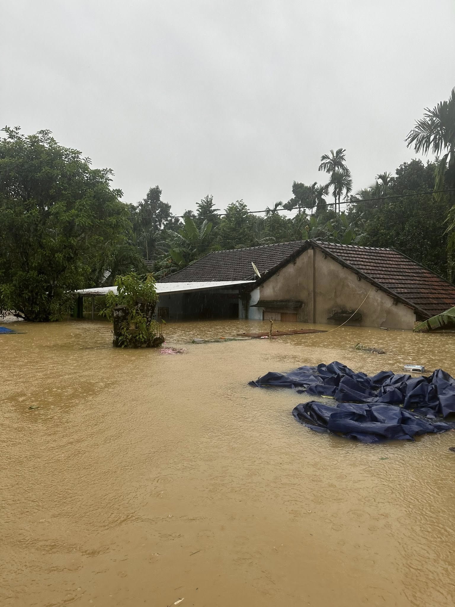 Lũ trên sông Vu Gia - Thu Bồn phá vỡ kỷ lục lịch sử năm 1964, Đà Nẵng đối mặt đại hồng thủy- Ảnh 3. Lũ trên sông Vu Gia - Thu Bồn phá vỡ kỷ lục lịch sử năm 1964, Đà Nẵng đối mặt đại hồng thủy- Ảnh 3.