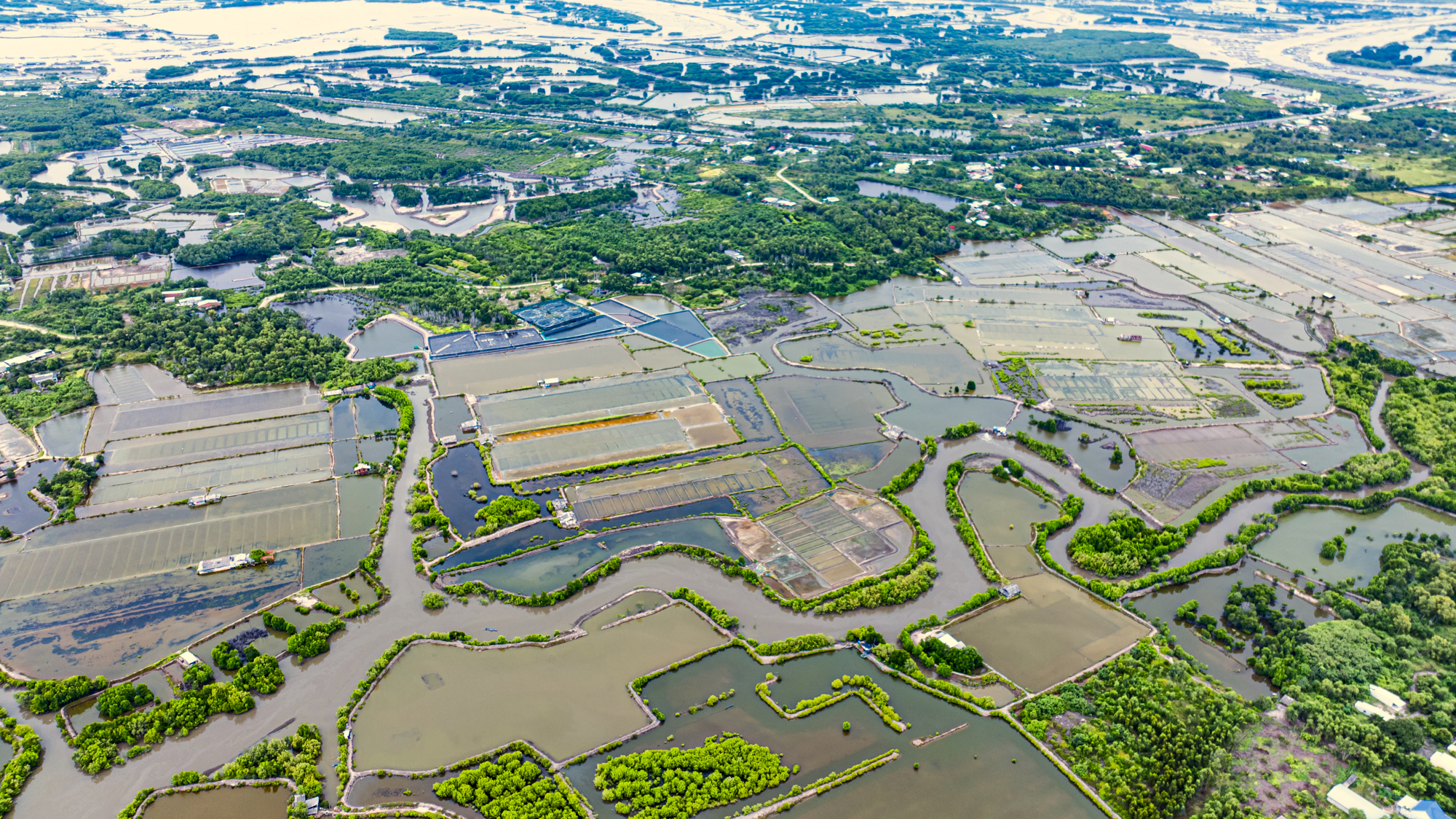 Hòn đảo chỉ cách trung tâm Vũng Tàu 3 km từng được đề xuất làm sân bay, nay có thể trở thành khu đô thị mới của Sun Group- Ảnh 8. Hòn đảo chỉ cách trung tâm Vũng Tàu 3 km từng được đề xuất làm sân bay, nay có thể trở thành khu đô thị mới của Sun Group- Ảnh 8.