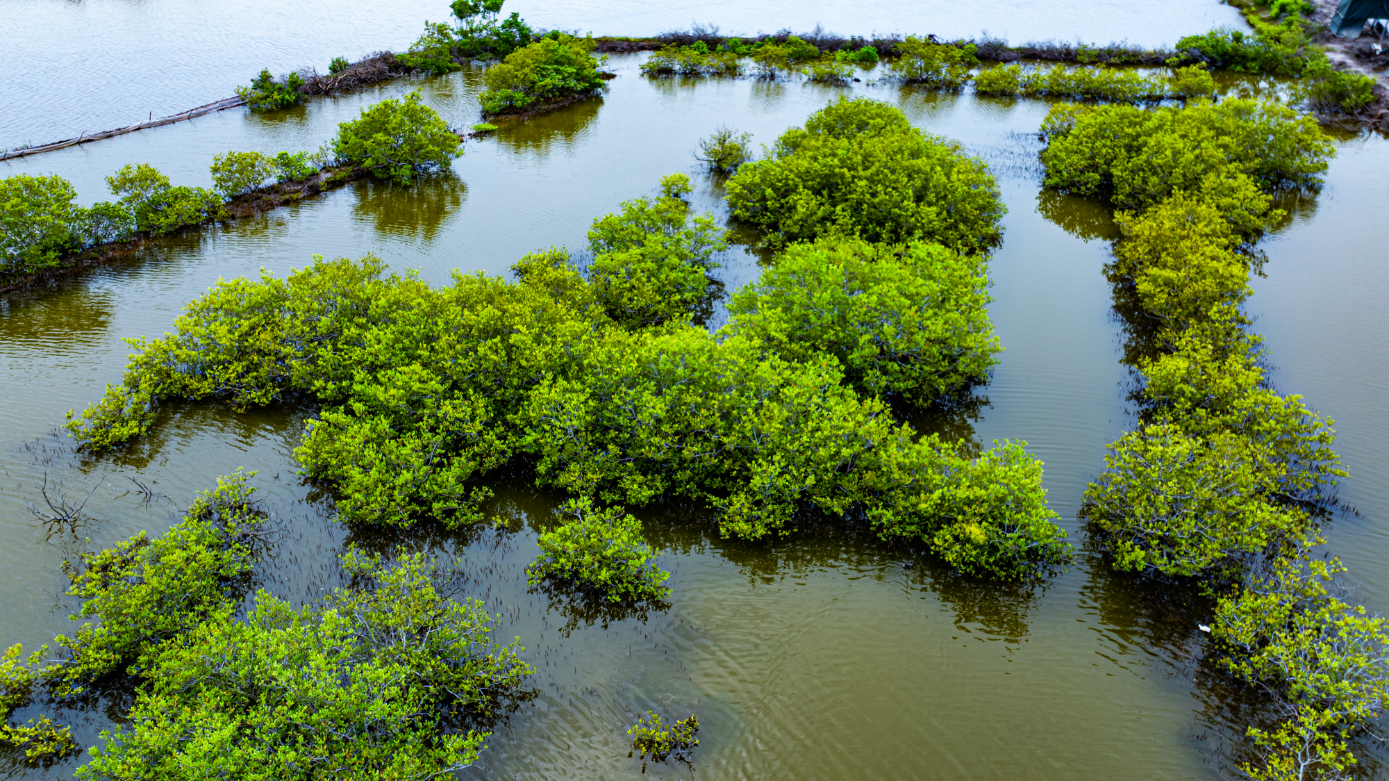 Hòn đảo chỉ cách trung tâm Vũng Tàu 3 km từng được đề xuất làm sân bay, nay có thể trở thành khu đô thị mới của Sun Group- Ảnh 9. Hòn đảo chỉ cách trung tâm Vũng Tàu 3 km từng được đề xuất làm sân bay, nay có thể trở thành khu đô thị mới của Sun Group- Ảnh 9.