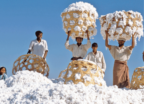 'Khách ruột' Mỹ chi hơn 13 tỷ USD chốt đơn mặt hàng này của Việt Nam, 66 quốc gia khác đua nhau săn mua- Ảnh 1.