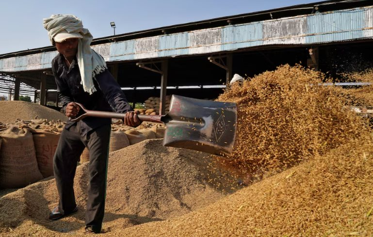 Giá gạo sắp thêm áp lực: Vựa lúa của thế giới vừa thu hoạch kỷ lục 146 triệu tấn, nhắm đến 26 thị trường tiềm năng bao gồm cả Việt Nam- Ảnh 1. Giá gạo sắp thêm áp lực: Vựa lúa của thế giới vừa thu hoạch kỷ lục 146 triệu tấn, nhắm đến 26 thị trường tiềm năng bao gồm cả Việt Nam- Ảnh 1.