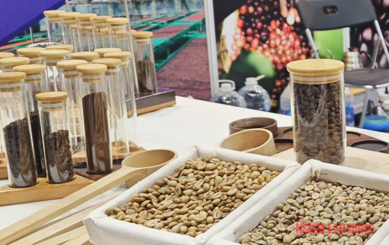 Giá cà phê hôm nay 29-10: Robusta phục hồi nhẹ, Arabica tiếp tục giảm- Ảnh 1. Giá cà phê hôm nay 29-10: Robusta phục hồi nhẹ, Arabica tiếp tục giảm- Ảnh 1.