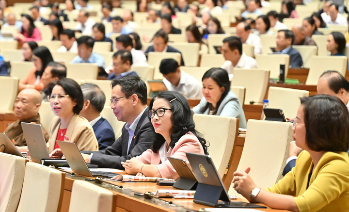 Đại biểu Quốc hội: Bắt cóc online là một thách thức mới của thời đại số- Ảnh 2. Đại biểu Quốc hội: Bắt cóc online là một thách thức mới của thời đại số- Ảnh 2.