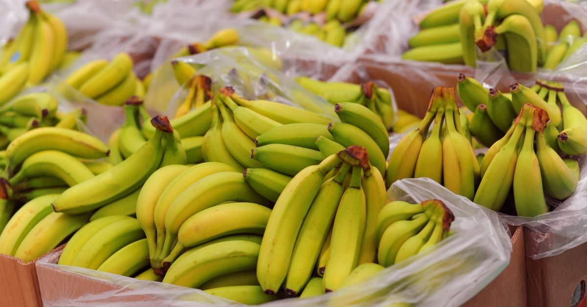 Việt Nam sở hữu “trái cây hạnh phúc” chinh phục Nhật Bản, hút mạnh thị trường Trung Quốc- Ảnh 1. Việt Nam sở hữu “trái cây hạnh phúc” chinh phục Nhật Bản, hút mạnh thị trường Trung Quốc- Ảnh 1.