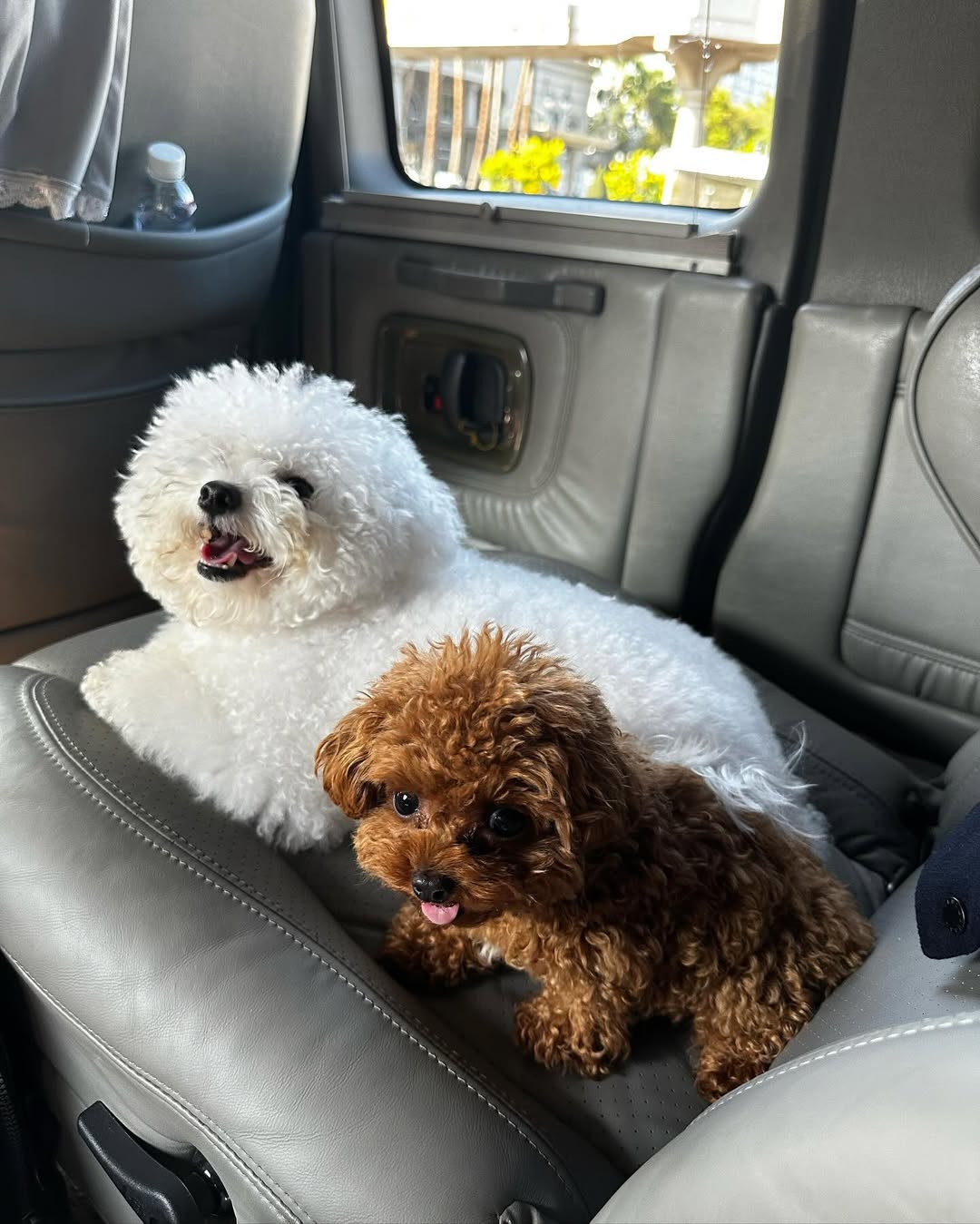 Những chuyến du lịch triệu đô của Tiên Nguyễn- Ảnh 15.