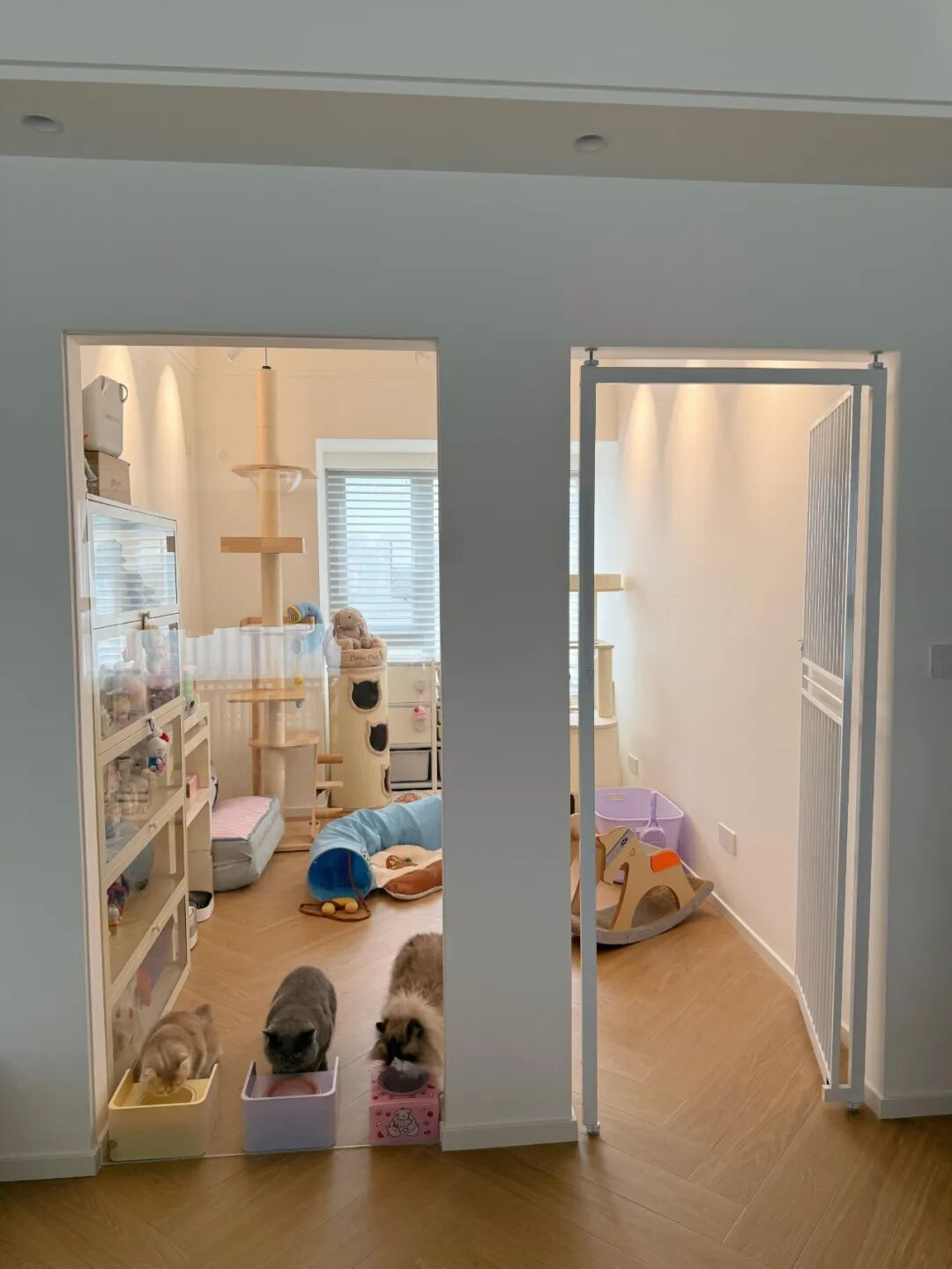 Giới trẻ trang trí nhà “ngược đời” nhưng cực thông minh: Toàn ý tưởng tưởng kỳ quặc mà sống rồi mới thấy đúng quá!- Ảnh 9.