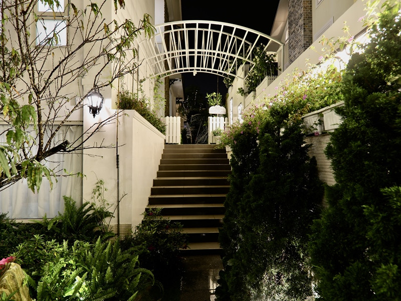 Nữ nghệ sĩ sở hữu biệt thự 30 tỷ ở Đà Lạt, chọn sống độc thân tới già, nuôi hơn 400 con chó hoang- Ảnh 6. Nữ nghệ sĩ sở hữu biệt thự 30 tỷ ở Đà Lạt, chọn sống độc thân tới già, nuôi hơn 400 con chó hoang- Ảnh 6.