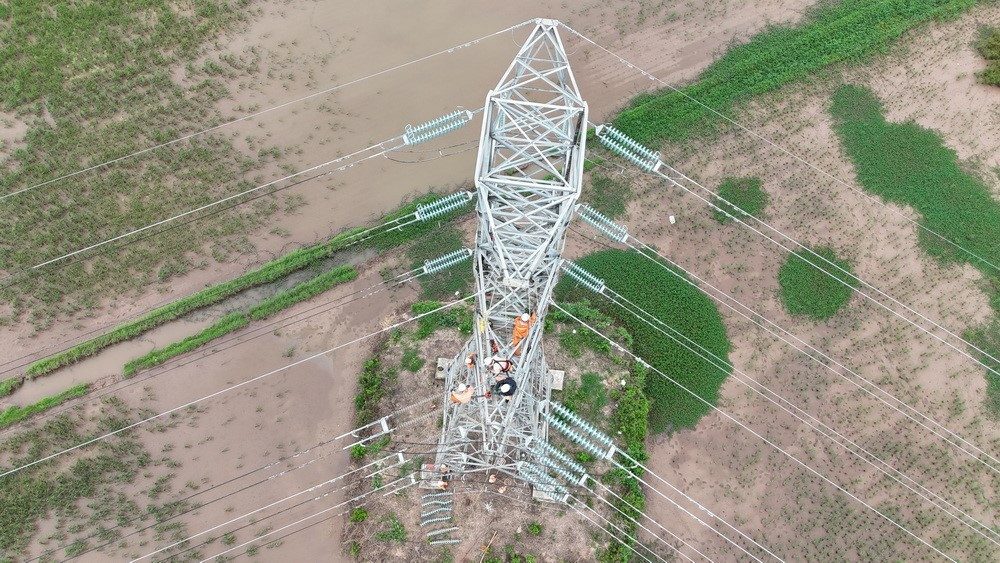 Hoàn thành thay thế cách điện đường dây 220kV mạch kép Thái Bình – Tiền Hải – Trực Ninh- Ảnh 3. Hoàn thành thay thế cách điện đường dây 220kV mạch kép Thái Bình – Tiền Hải – Trực Ninh- Ảnh 3.