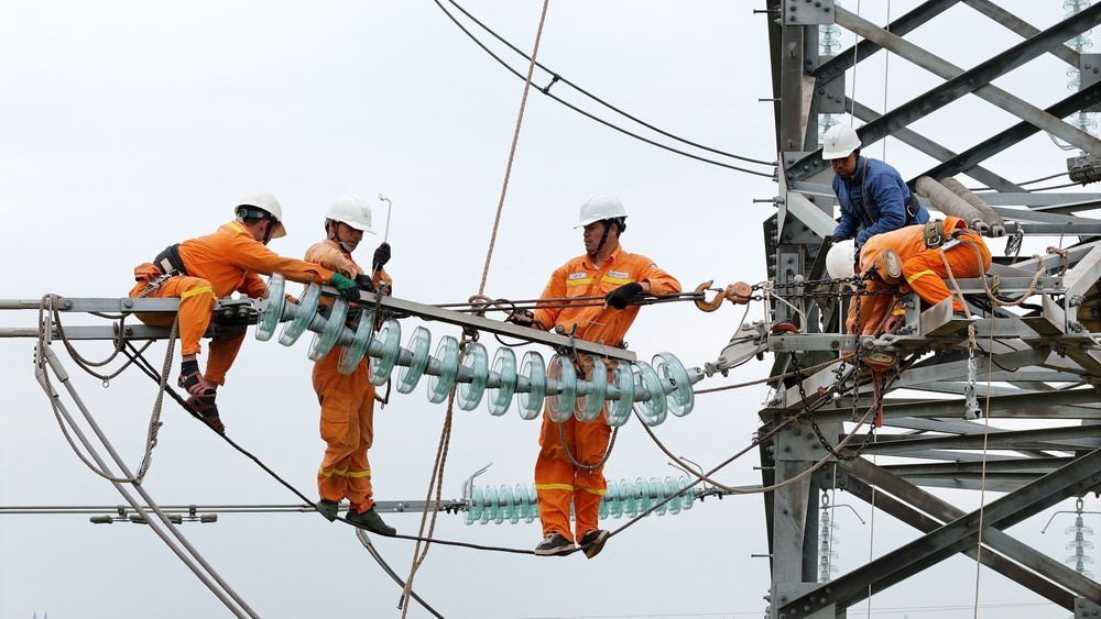 Hoàn thành thay thế cách điện đường dây 220kV mạch kép Thái Bình – Tiền Hải – Trực Ninh- Ảnh 2. Hoàn thành thay thế cách điện đường dây 220kV mạch kép Thái Bình – Tiền Hải – Trực Ninh- Ảnh 2.