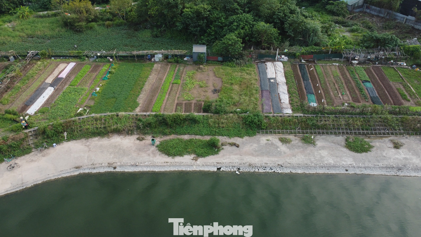 Lều lán, nhà tôn trái phép hóa vườn hoa tại khu chung cư đông đúc bậc nhất Thủ đô- Ảnh 12. Lều lán, nhà tôn trái phép hóa vườn hoa tại khu chung cư đông đúc bậc nhất Thủ đô- Ảnh 12.