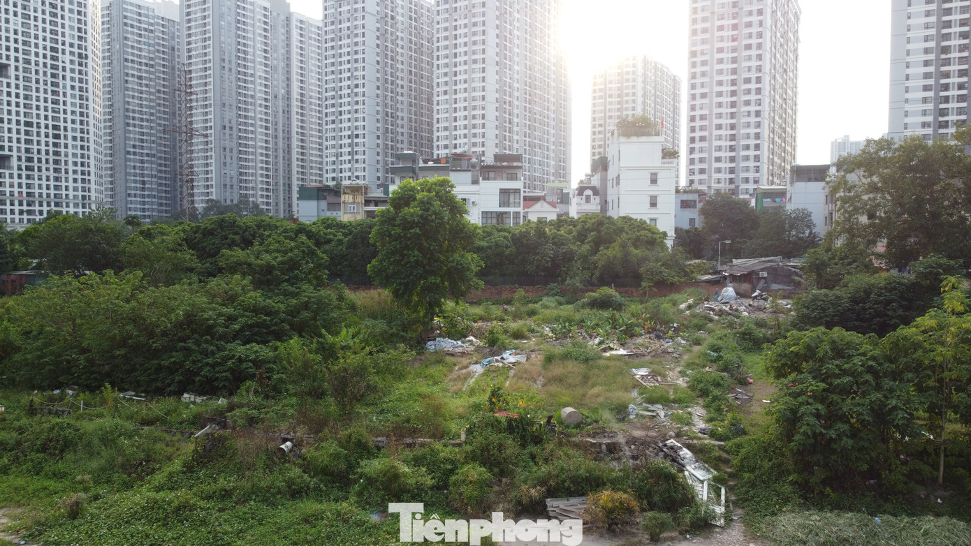 Lều lán, nhà tôn trái phép hóa vườn hoa tại khu chung cư đông đúc bậc nhất Thủ đô- Ảnh 11. Lều lán, nhà tôn trái phép hóa vườn hoa tại khu chung cư đông đúc bậc nhất Thủ đô- Ảnh 11.