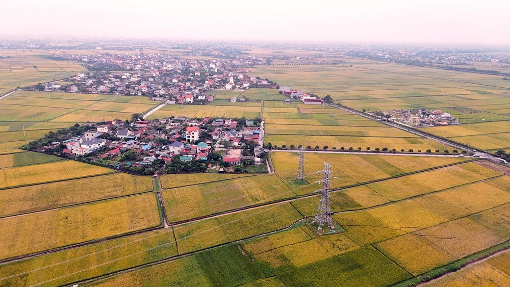 Hoàn thành thay thế cách điện đường dây 220kV mạch kép Thái Bình – Tiền Hải – Trực Ninh- Ảnh 1. Hoàn thành thay thế cách điện đường dây 220kV mạch kép Thái Bình – Tiền Hải – Trực Ninh- Ảnh 1.