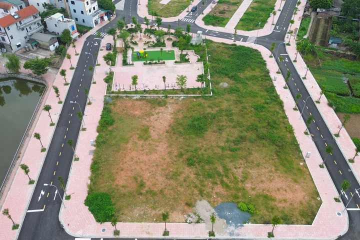 Có nên nâng tiền đặt cọc đấu giá đất lên 50% mức khởi điểm?- Ảnh 2.