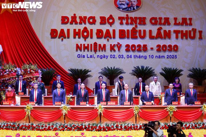 Con số thu hút đầu tư ấn tượng của tỉnh Gia Lai trong 5 năm- Ảnh 4.