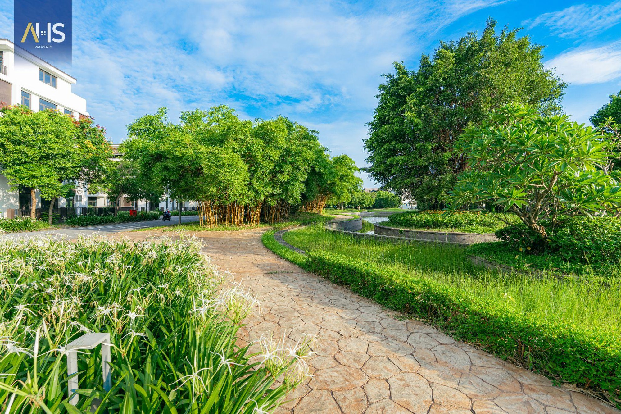 Dễ dàng sở hữu nhà thấp tầng biệt lập với ưu đãi vàng từ Hado Charm Villas- Ảnh 2.
