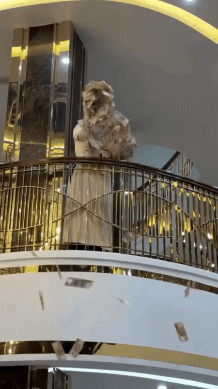 Bị bắt vì trốn thuế 2.100 tỷ đồng, Hoàng Hường kiếm tiền từ những nguồn nào?- Ảnh 2. Bị bắt vì trốn thuế 2.100 tỷ đồng, Hoàng Hường kiếm tiền từ những nguồn nào?- Ảnh 2.