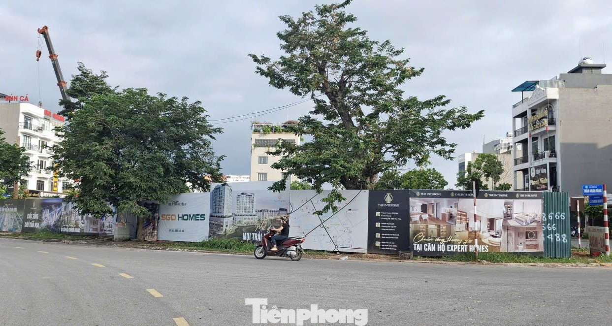 'Choáng' với giá chung cư ở tỉnh lẻ 'nhảy múa' lên đến 80 triệu đồng/m2- Ảnh 1.