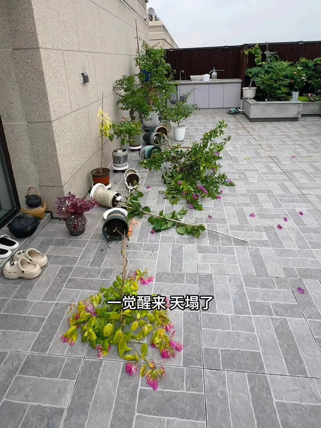 Penthouse – giấc mơ sang chảnh biến thành “địa ngục trên cao”: Tôi đã sống và hối hận!- Ảnh 2. Penthouse – giấc mơ sang chảnh biến thành “địa ngục trên cao”: Tôi đã sống và hối hận!- Ảnh 2.