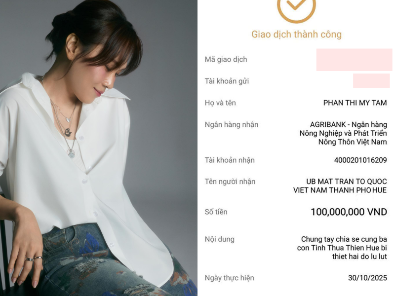 Hồ Ngọc Hà - Mỹ Tâm và dàn sao Việt giúp đỡ bà con vùng lũ, có 1 nội dung chuyển khoản rất đặc biệt- Ảnh 1.