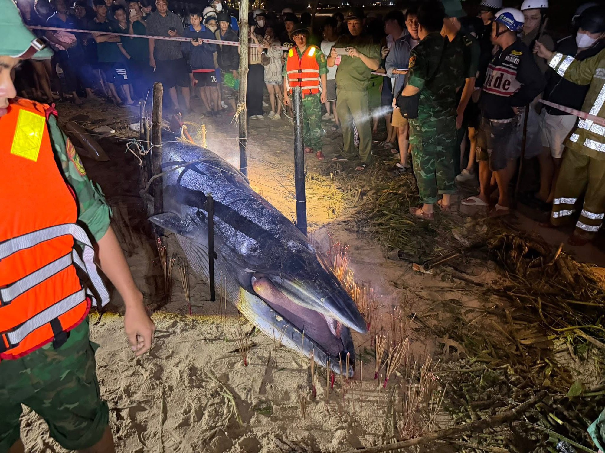 Cá ông dạt vào bờ biển là điềm tốt hay xấu? Ngư dân 40 năm đưa ra giải thích- Ảnh 4.