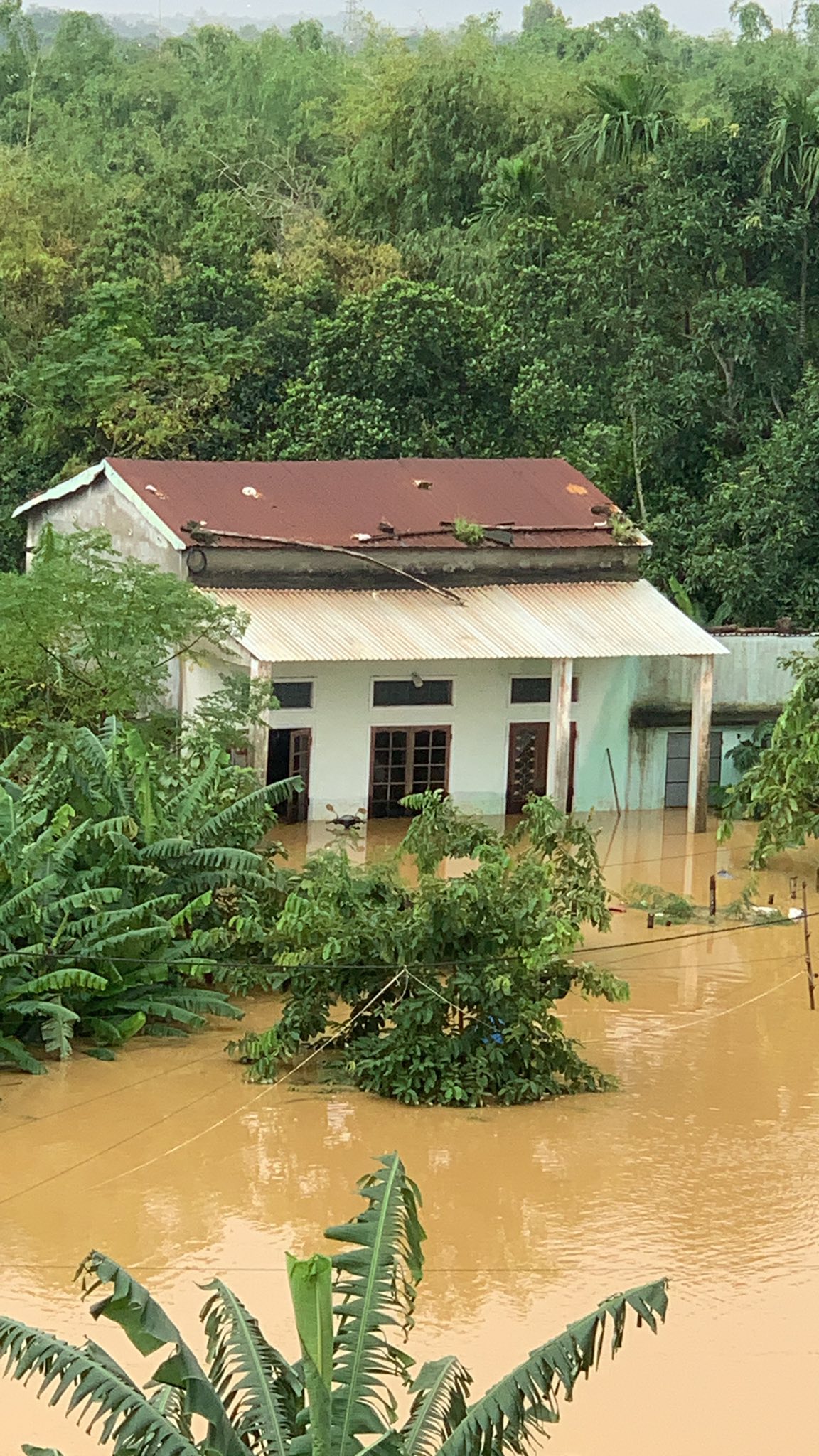 Nắng lên, hàng chục ngàn nhà dân ở Đà Nẵng vẫn ngập sâu trong lũ lịch sử- Ảnh 9. Nắng lên, hàng chục ngàn nhà dân ở Đà Nẵng vẫn ngập sâu trong lũ lịch sử- Ảnh 9.