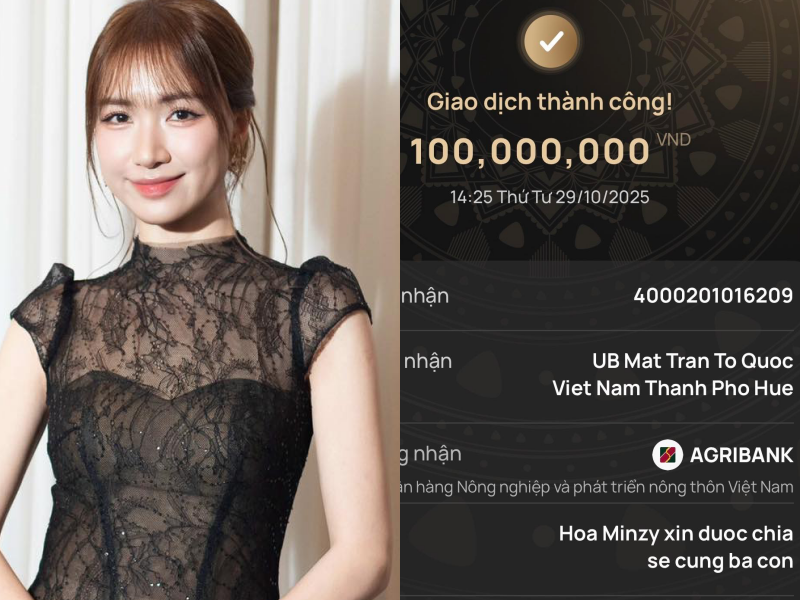 Hồ Ngọc Hà - Mỹ Tâm và dàn sao Việt giúp đỡ bà con vùng lũ, có 1 nội dung chuyển khoản rất đặc biệt- Ảnh 4.