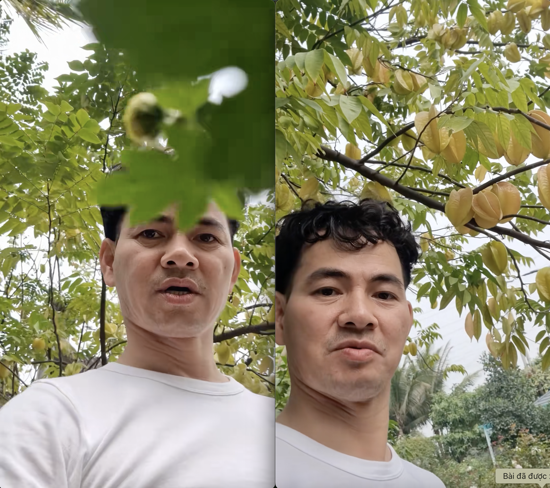 NSND Xuân Bắc "không có ý khoe khoang" nhưng dân mạng vẫn đòi "trả cục vàng" vì món này- Ảnh 1. NSND Xuân Bắc "không có ý khoe khoang" nhưng dân mạng vẫn đòi "trả cục vàng" vì món này- Ảnh 1.