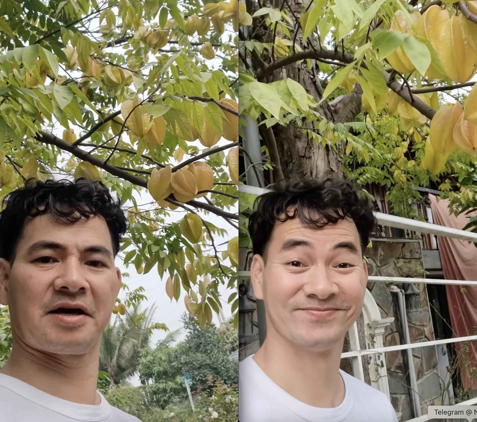 NSND Xuân Bắc "không có ý khoe khoang" nhưng dân mạng vẫn đòi "trả cục vàng" vì món này- Ảnh 3. NSND Xuân Bắc "không có ý khoe khoang" nhưng dân mạng vẫn đòi "trả cục vàng" vì món này- Ảnh 3.