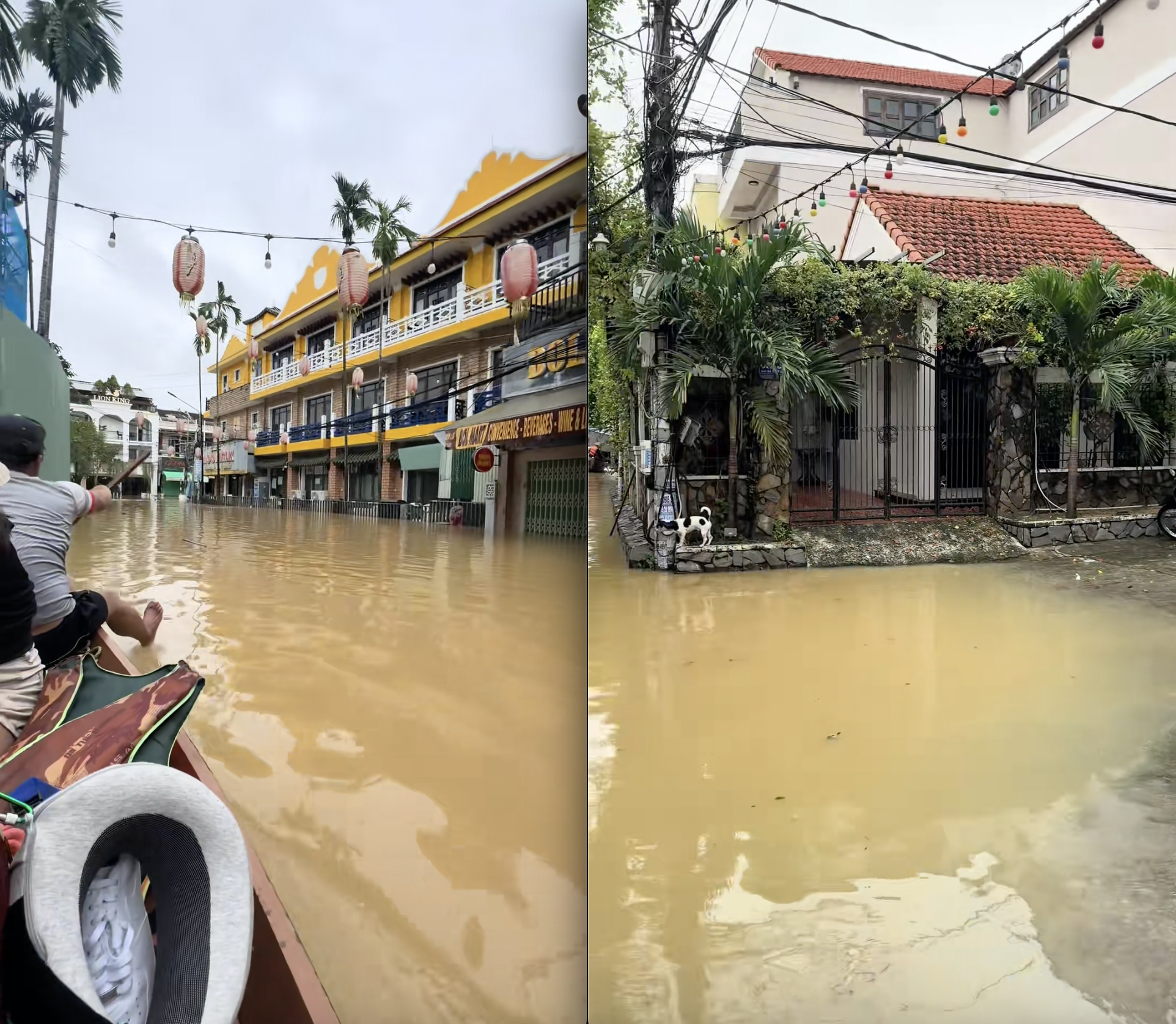 Khách Tây mắc kẹt suốt 12 tiếng trong nước lũ ở Hội An, tiết lộ "lòng quặn lại" khi nghe thông tin từ người dân- Ảnh 2. Khách Tây mắc kẹt suốt 12 tiếng trong nước lũ ở Hội An, tiết lộ "lòng quặn lại" khi nghe thông tin từ người dân- Ảnh 2.