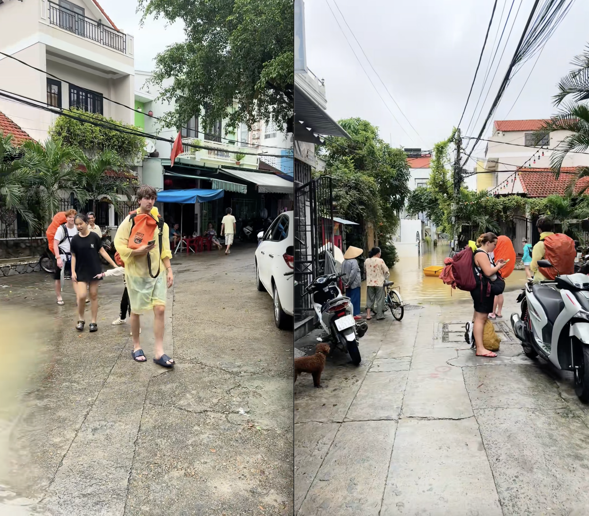 Khách Tây mắc kẹt suốt 12 tiếng trong nước lũ ở Hội An, tiết lộ "lòng quặn lại" khi nghe thông tin từ người dân- Ảnh 3. Khách Tây mắc kẹt suốt 12 tiếng trong nước lũ ở Hội An, tiết lộ "lòng quặn lại" khi nghe thông tin từ người dân- Ảnh 3.