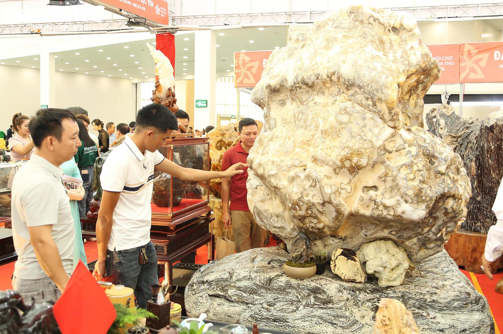 Khách tò mò ngắm san hô, gỗ hóa thạch trăm triệu tuổi, giá tiền tỷ- Ảnh 2. Khách tò mò ngắm san hô, gỗ hóa thạch trăm triệu tuổi, giá tiền tỷ- Ảnh 2.