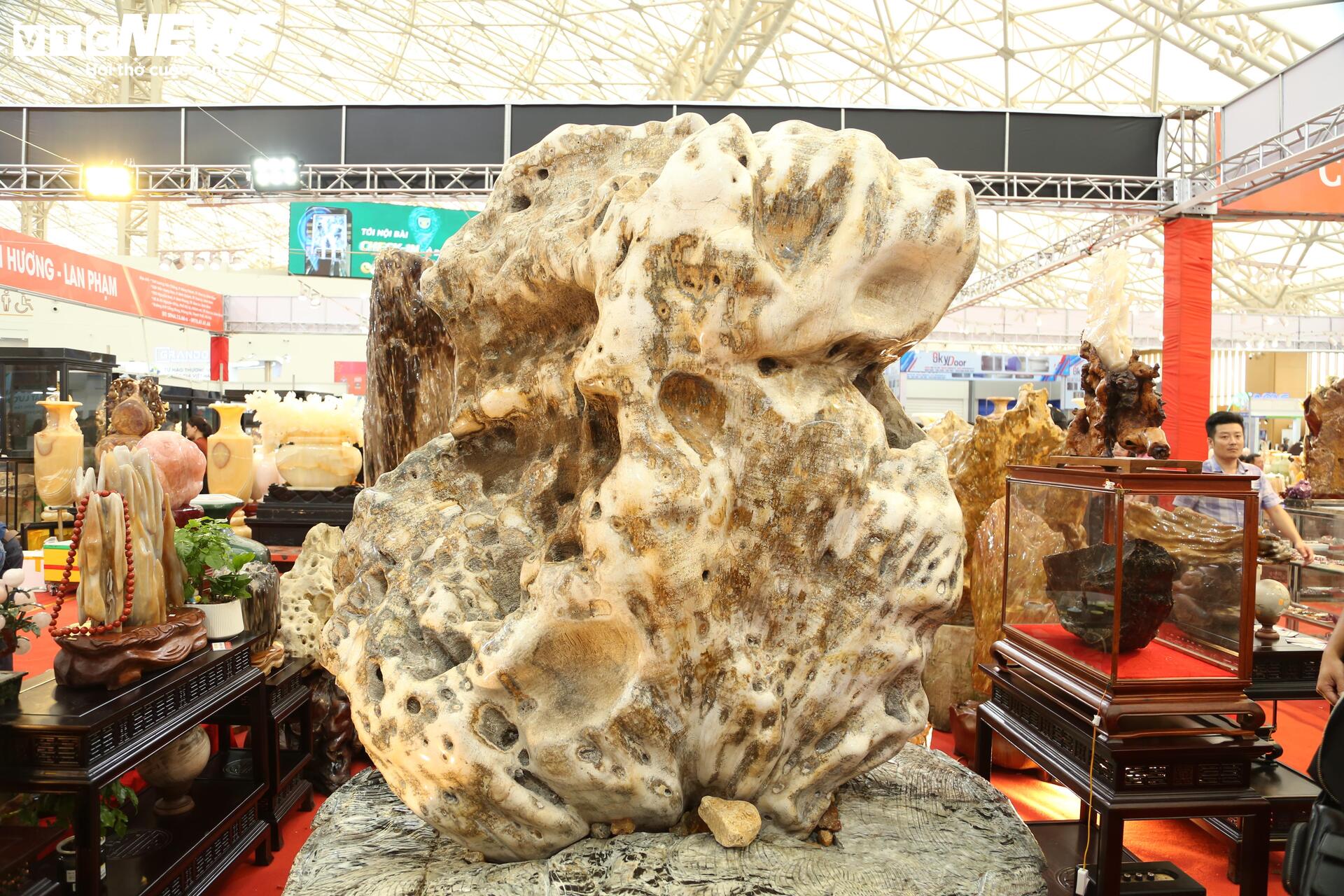 Khách tò mò ngắm san hô, gỗ hóa thạch trăm triệu tuổi, giá tiền tỷ- Ảnh 3. Khách tò mò ngắm san hô, gỗ hóa thạch trăm triệu tuổi, giá tiền tỷ- Ảnh 3.