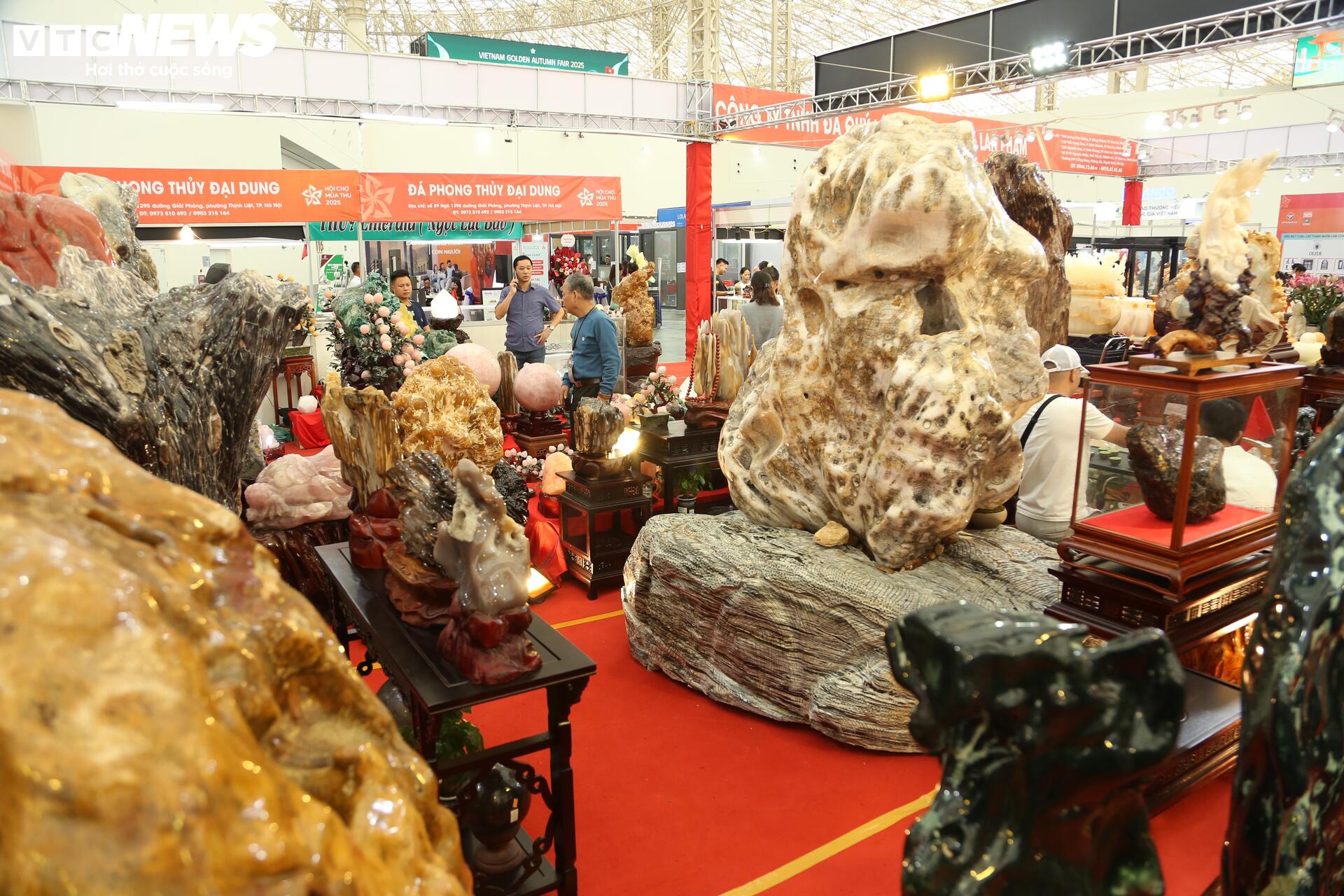 Khách tò mò ngắm san hô, gỗ hóa thạch trăm triệu tuổi, giá tiền tỷ- Ảnh 1. Khách tò mò ngắm san hô, gỗ hóa thạch trăm triệu tuổi, giá tiền tỷ- Ảnh 1.