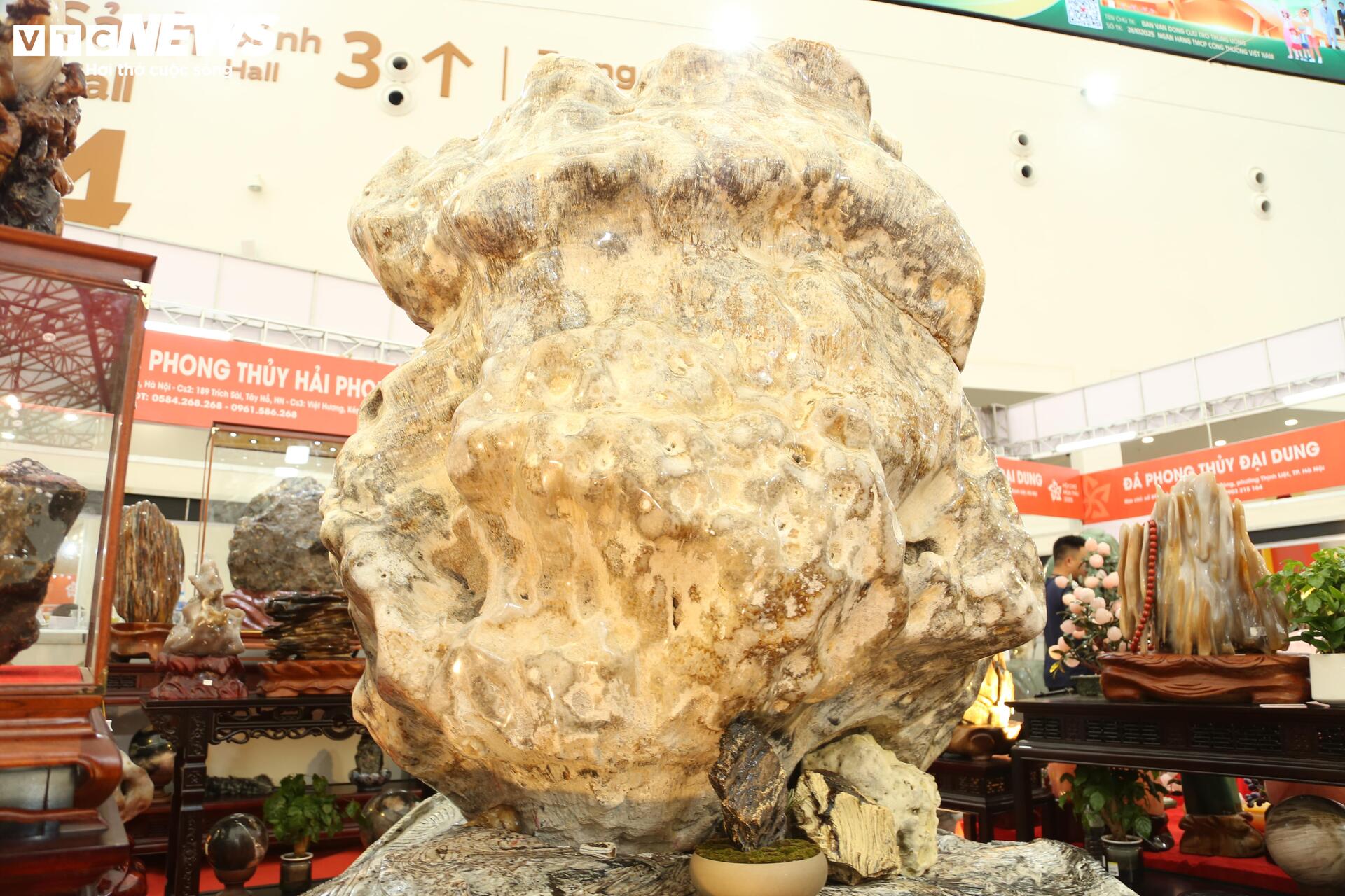 Khách tò mò ngắm san hô, gỗ hóa thạch trăm triệu tuổi, giá tiền tỷ- Ảnh 4. Khách tò mò ngắm san hô, gỗ hóa thạch trăm triệu tuổi, giá tiền tỷ- Ảnh 4.