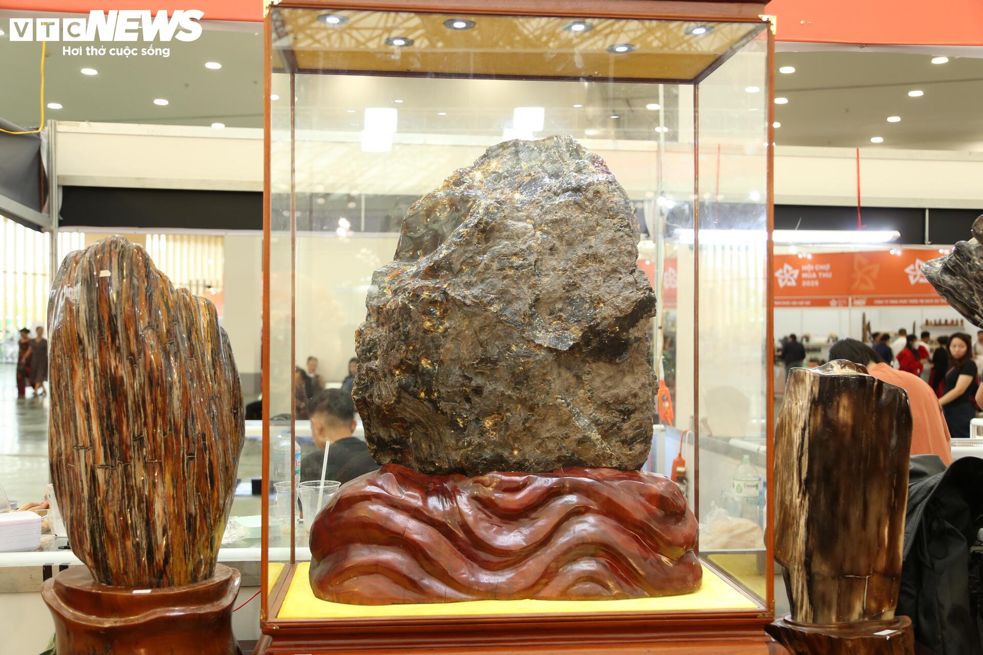 Khách tò mò ngắm san hô, gỗ hóa thạch trăm triệu tuổi, giá tiền tỷ- Ảnh 9. Khách tò mò ngắm san hô, gỗ hóa thạch trăm triệu tuổi, giá tiền tỷ- Ảnh 9.